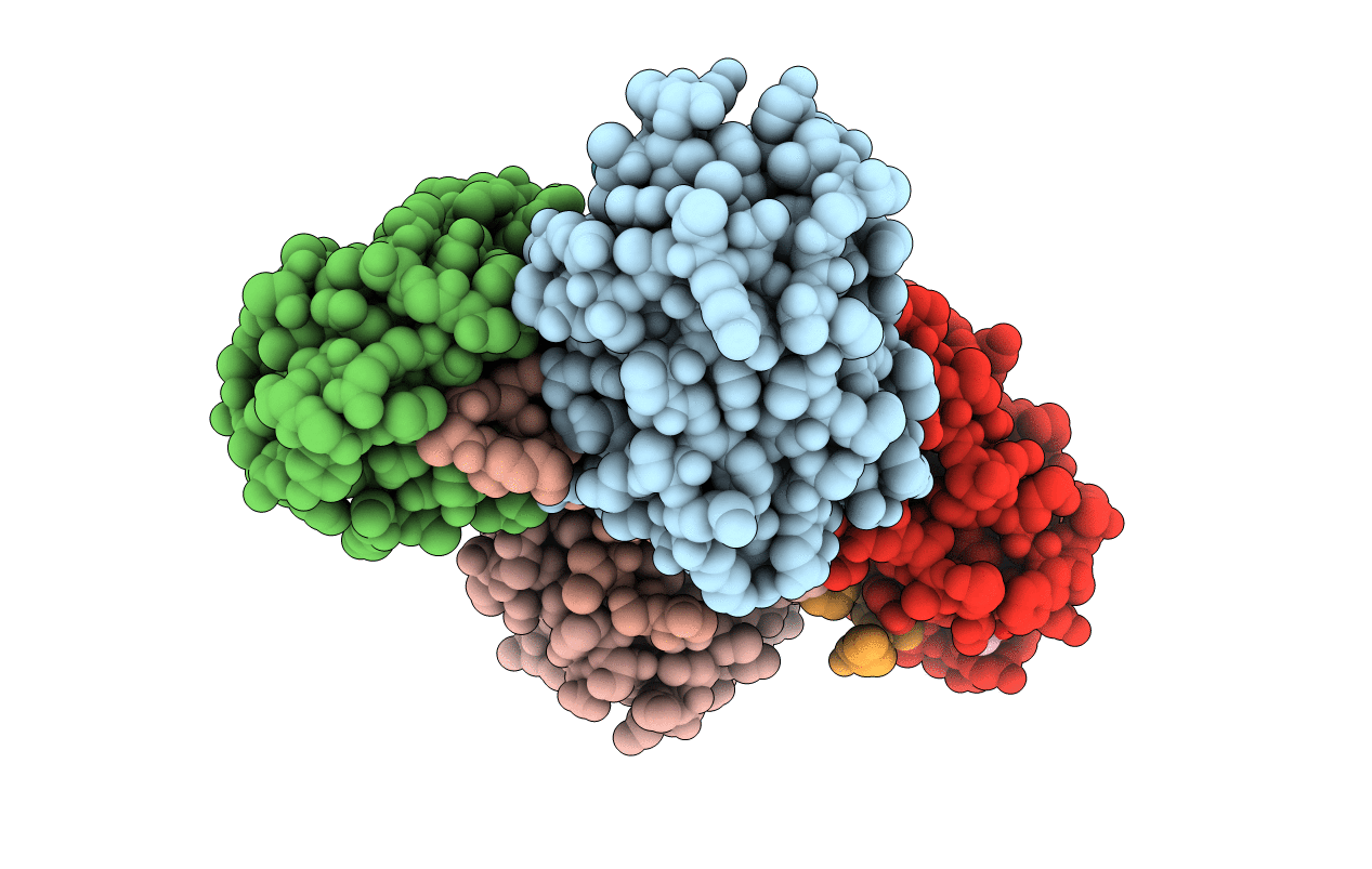 4R6P image