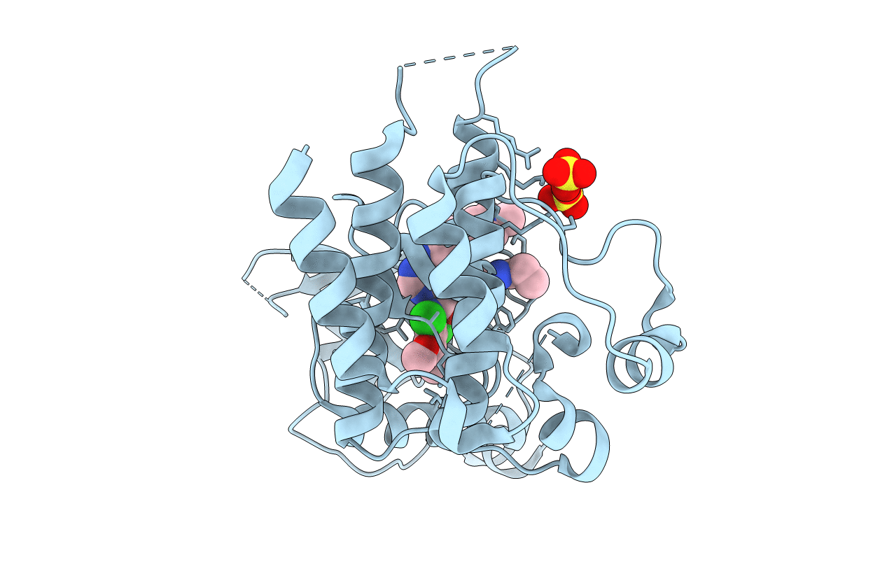 4R6V image