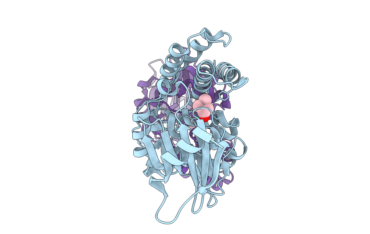 4R7B image