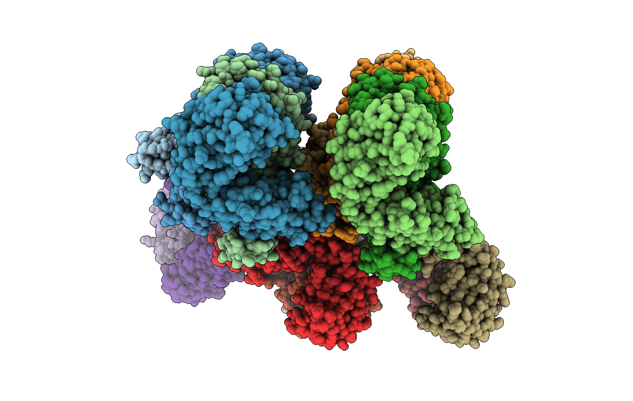 4R7D image