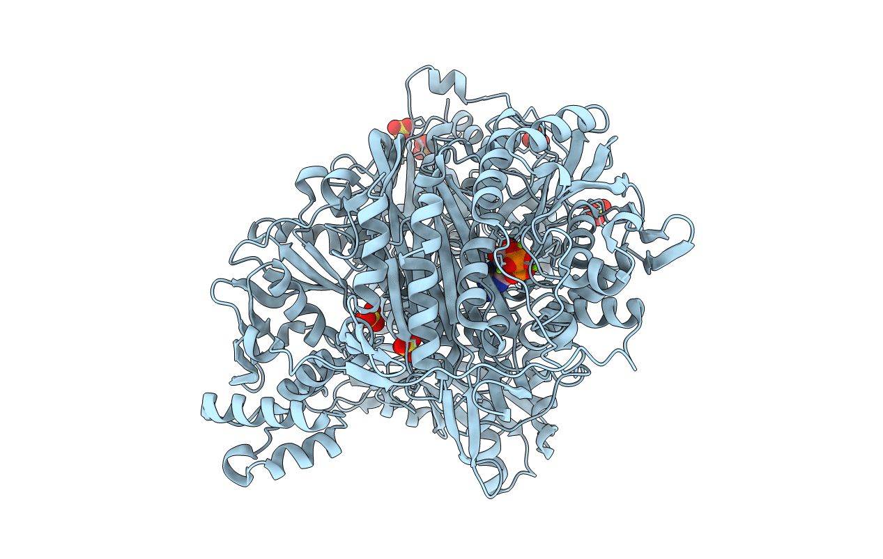 4R7G image
