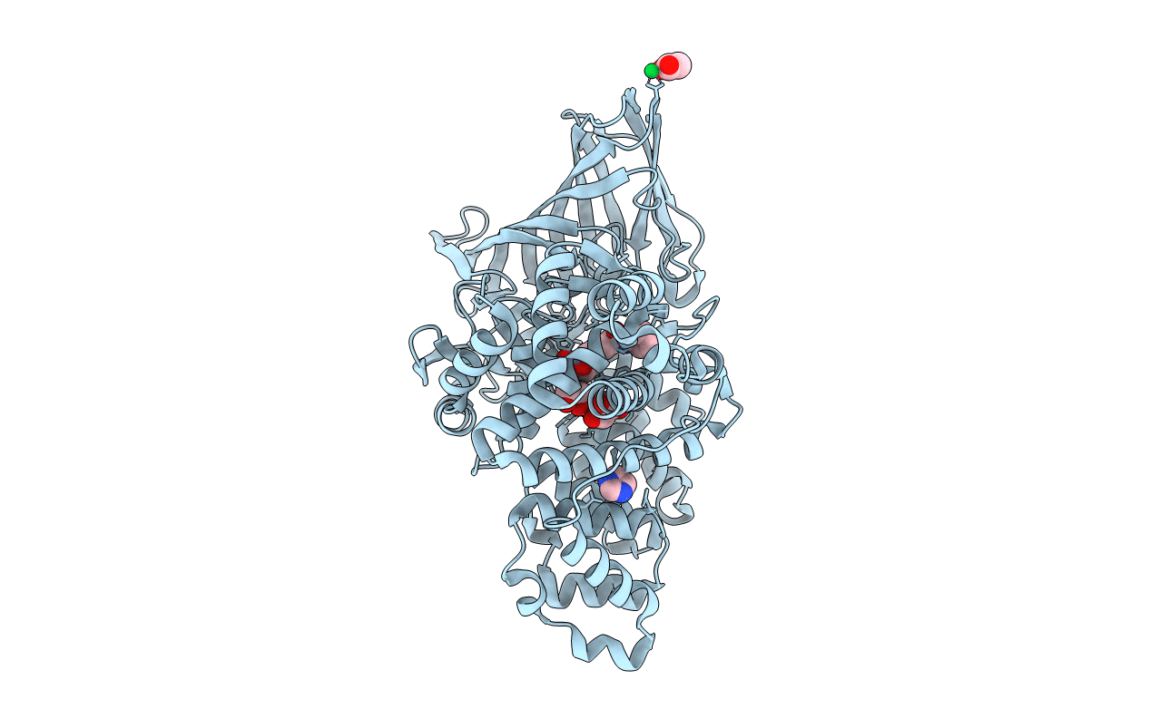 4R7L image