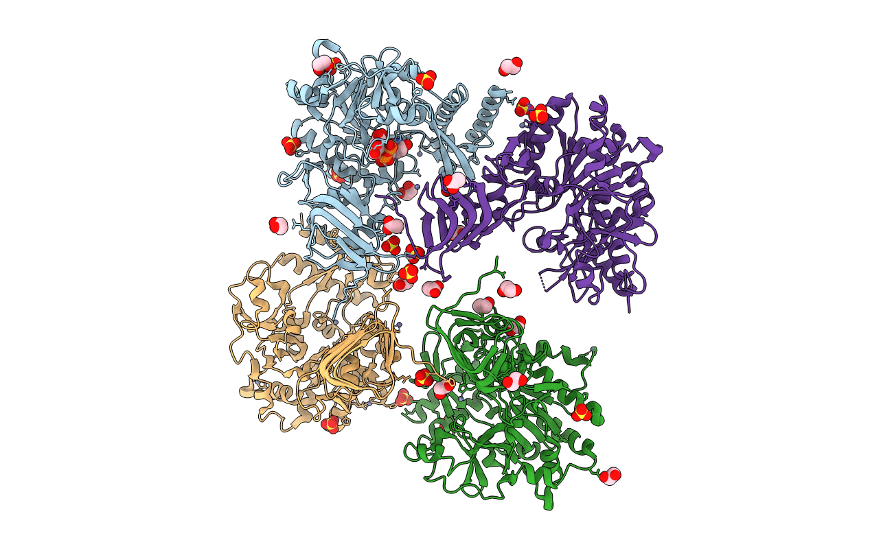 4R7P image