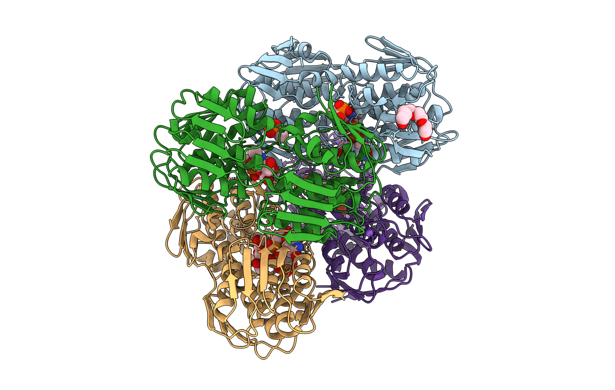 4R7U image