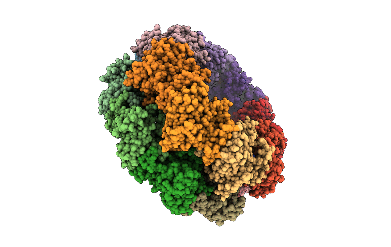 4R7Z image