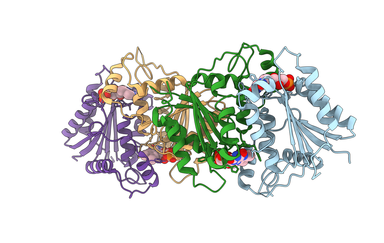 4R81 image