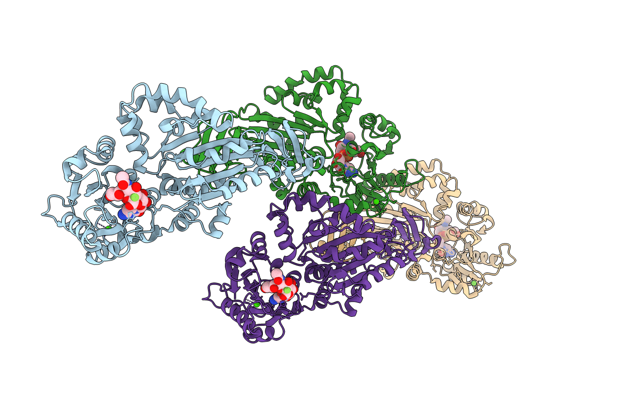 4R84 image