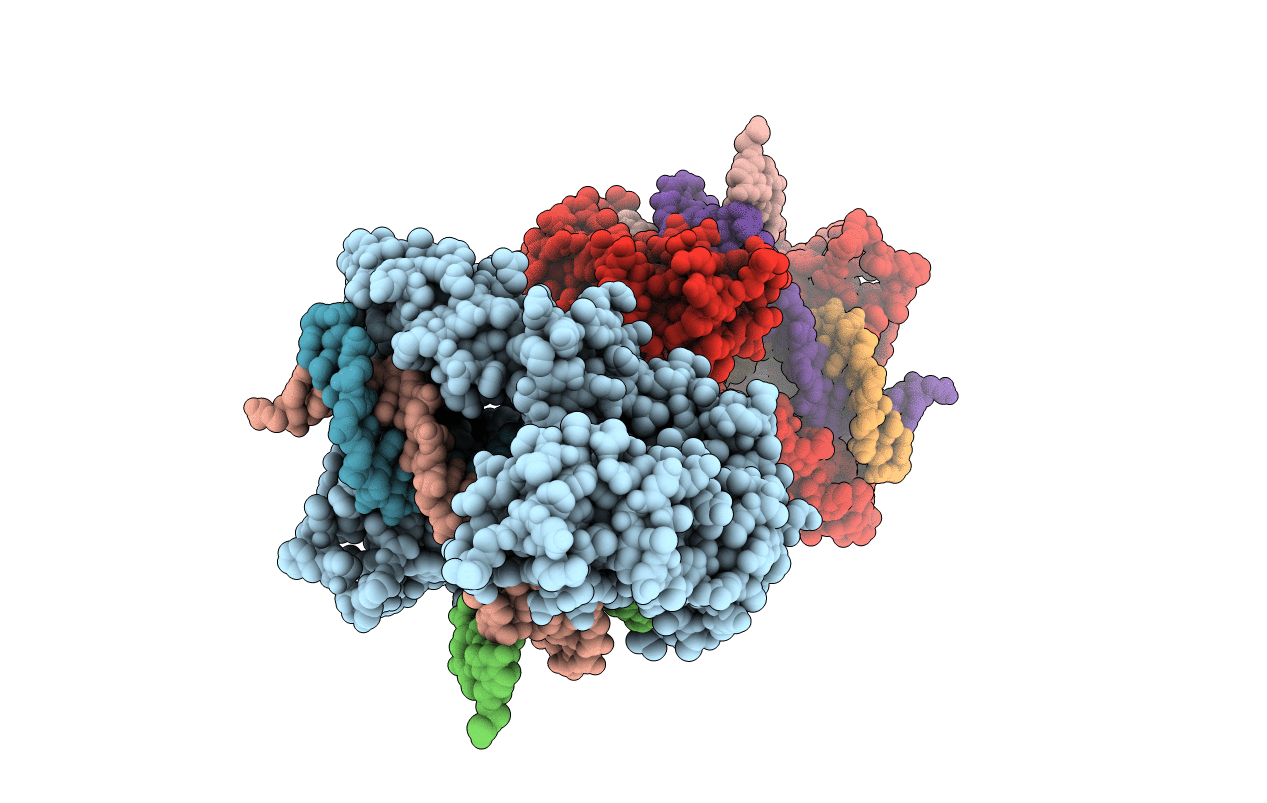 4R8A image