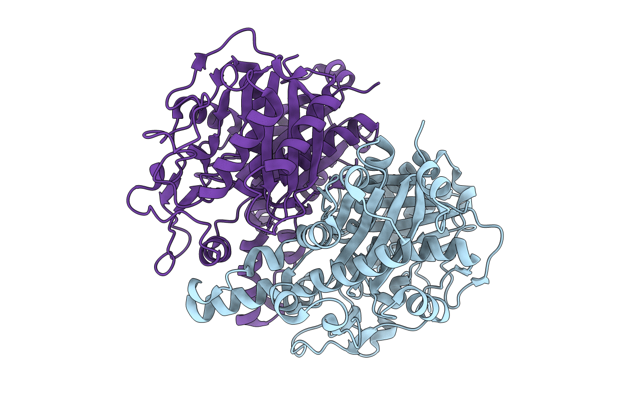 4R8E image