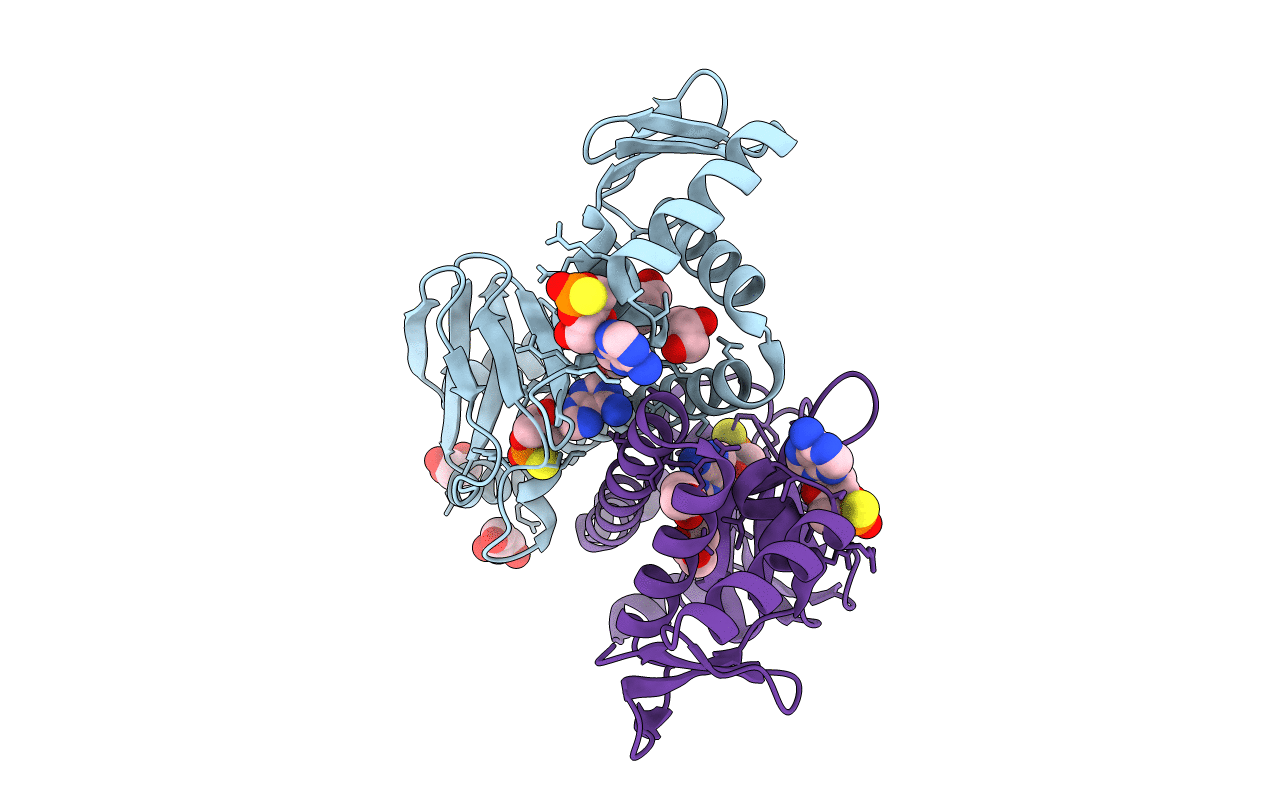 4R8H image