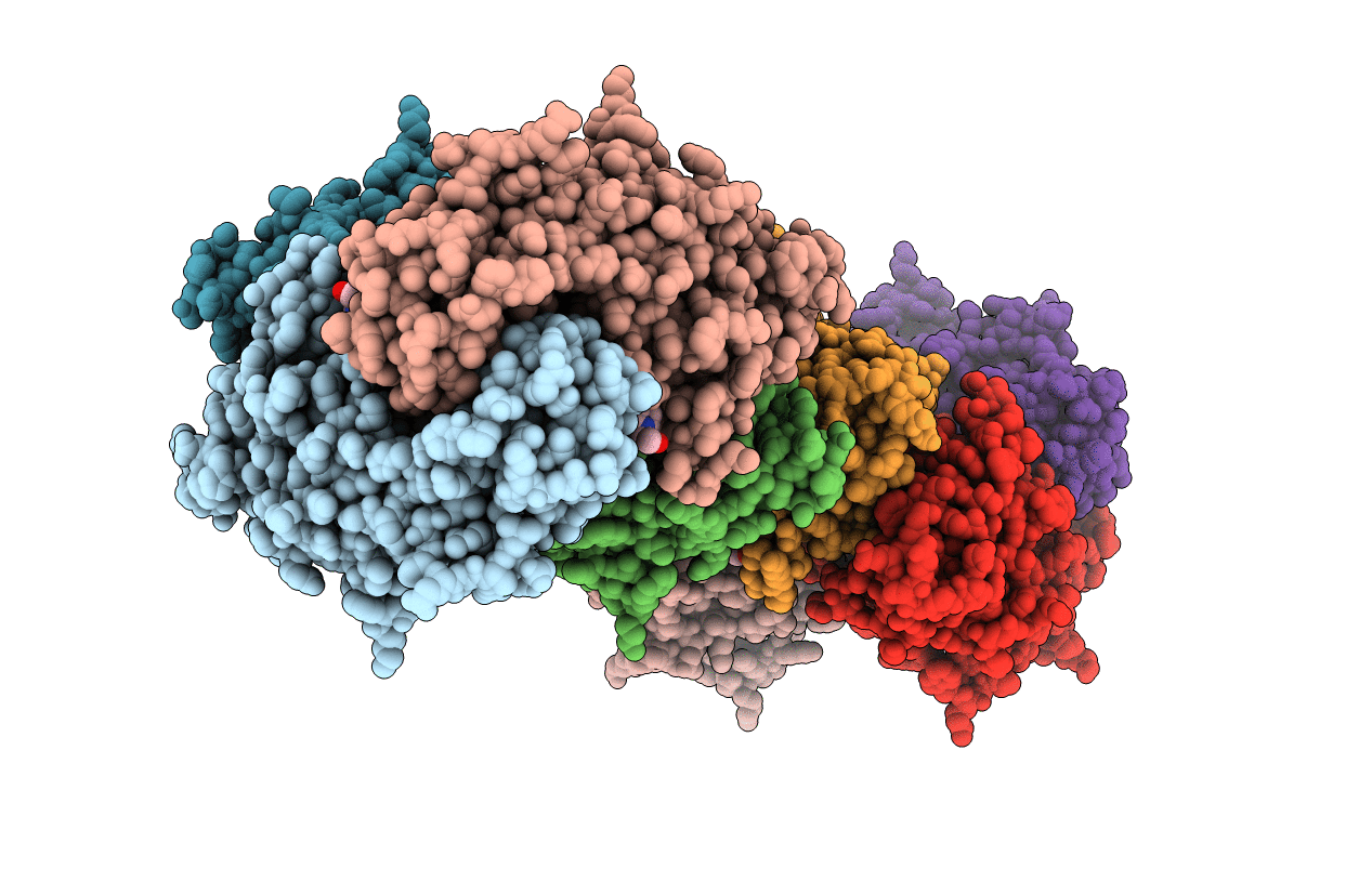 4R8K image