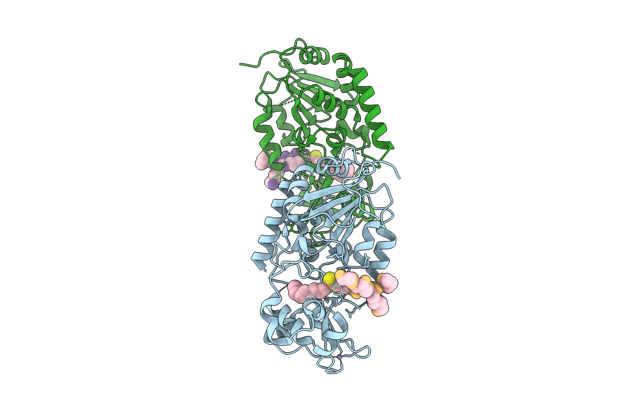 4R8M image