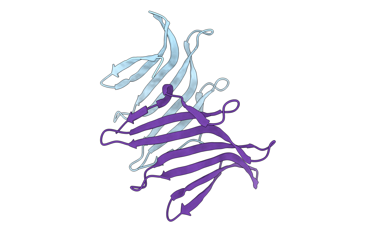 4R8O image