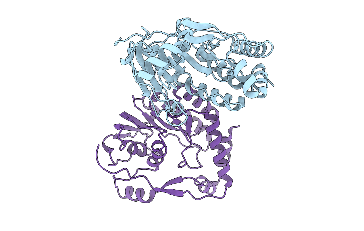 4R8R image
