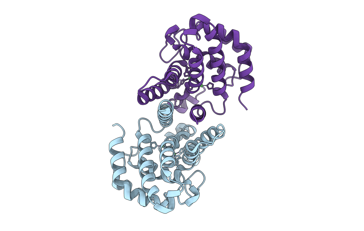 4R8Z image