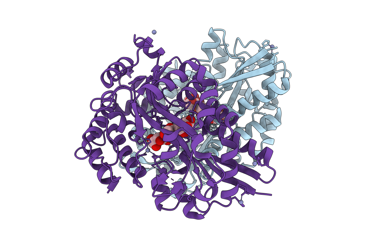 4R9G image