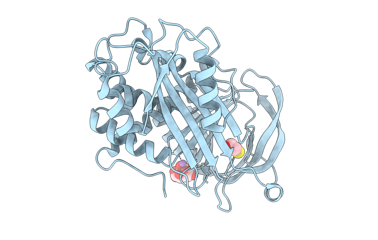 4R9I image