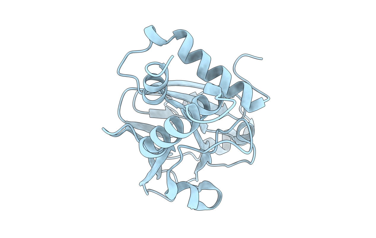 4R9P image