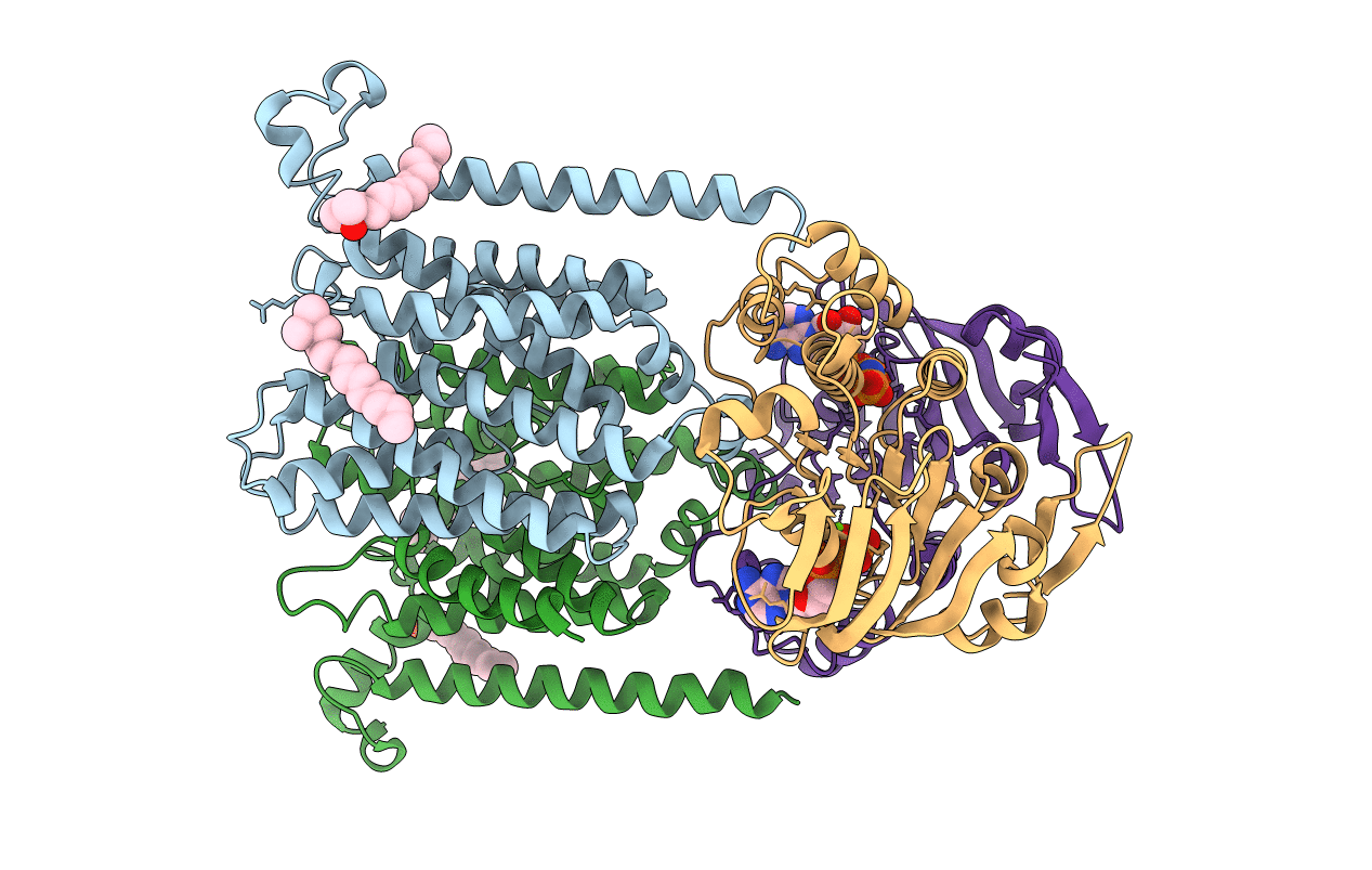 4R9U image