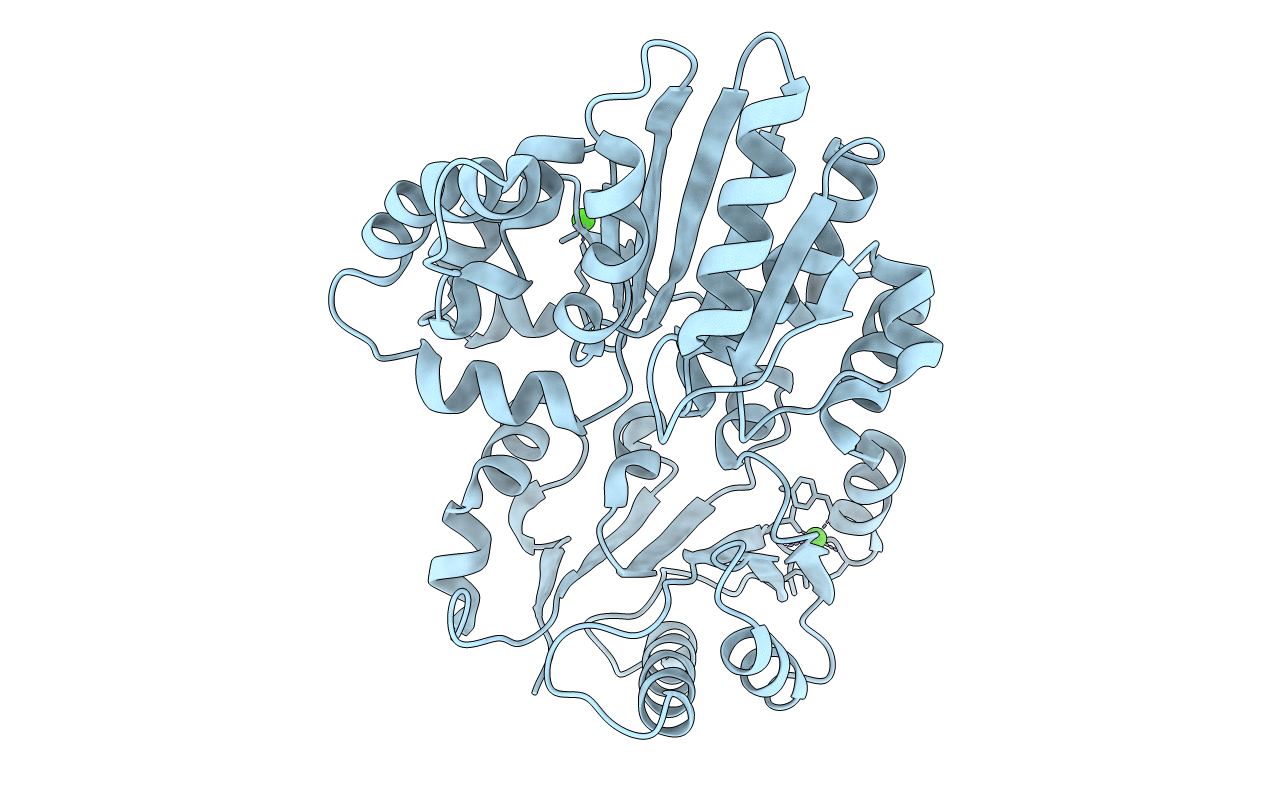 4R9V image
