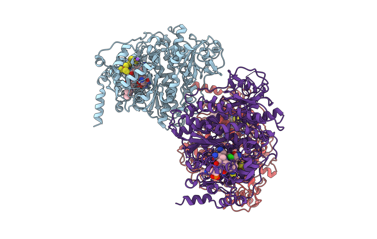 4RAS image