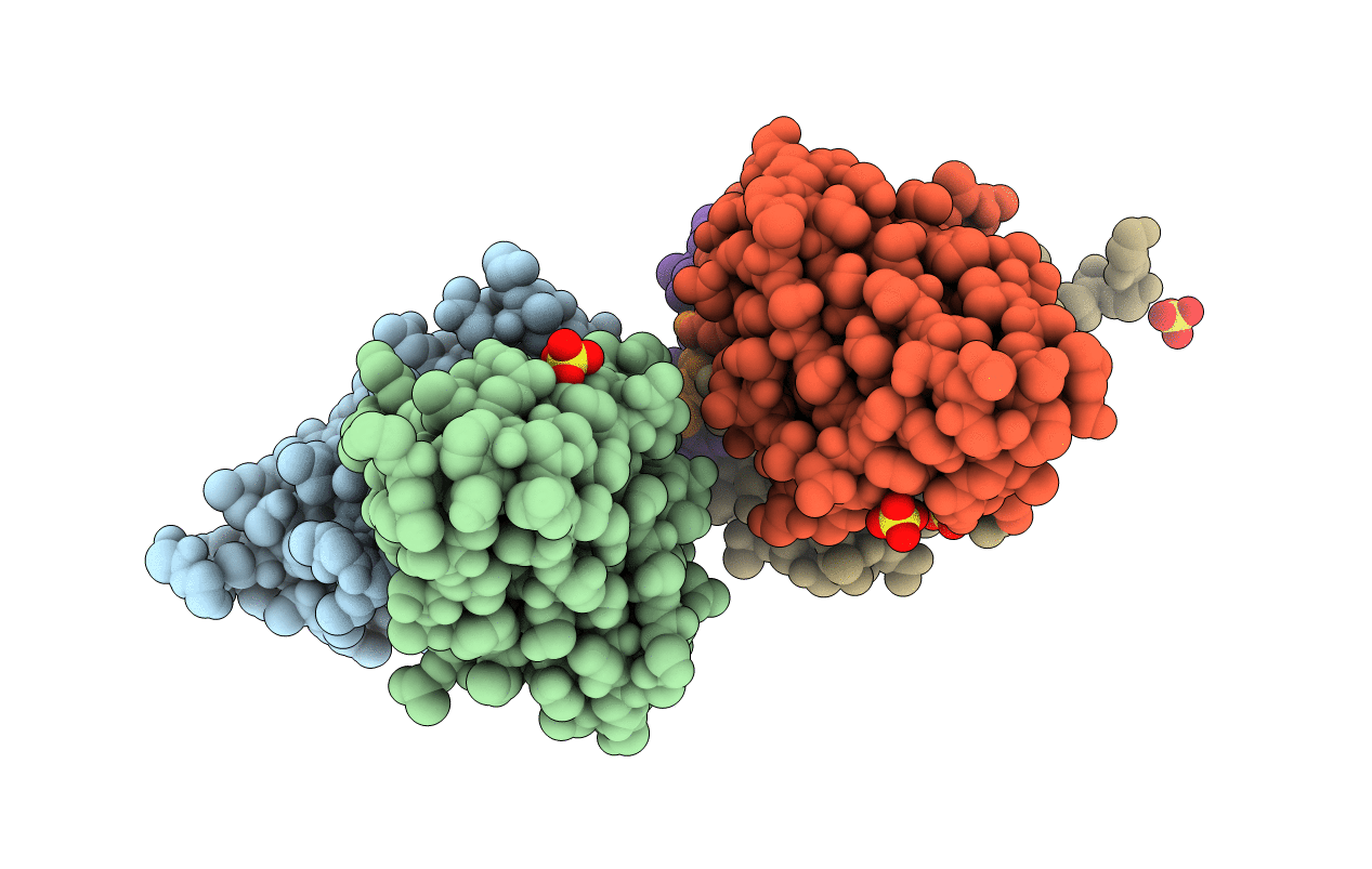 4RAV image