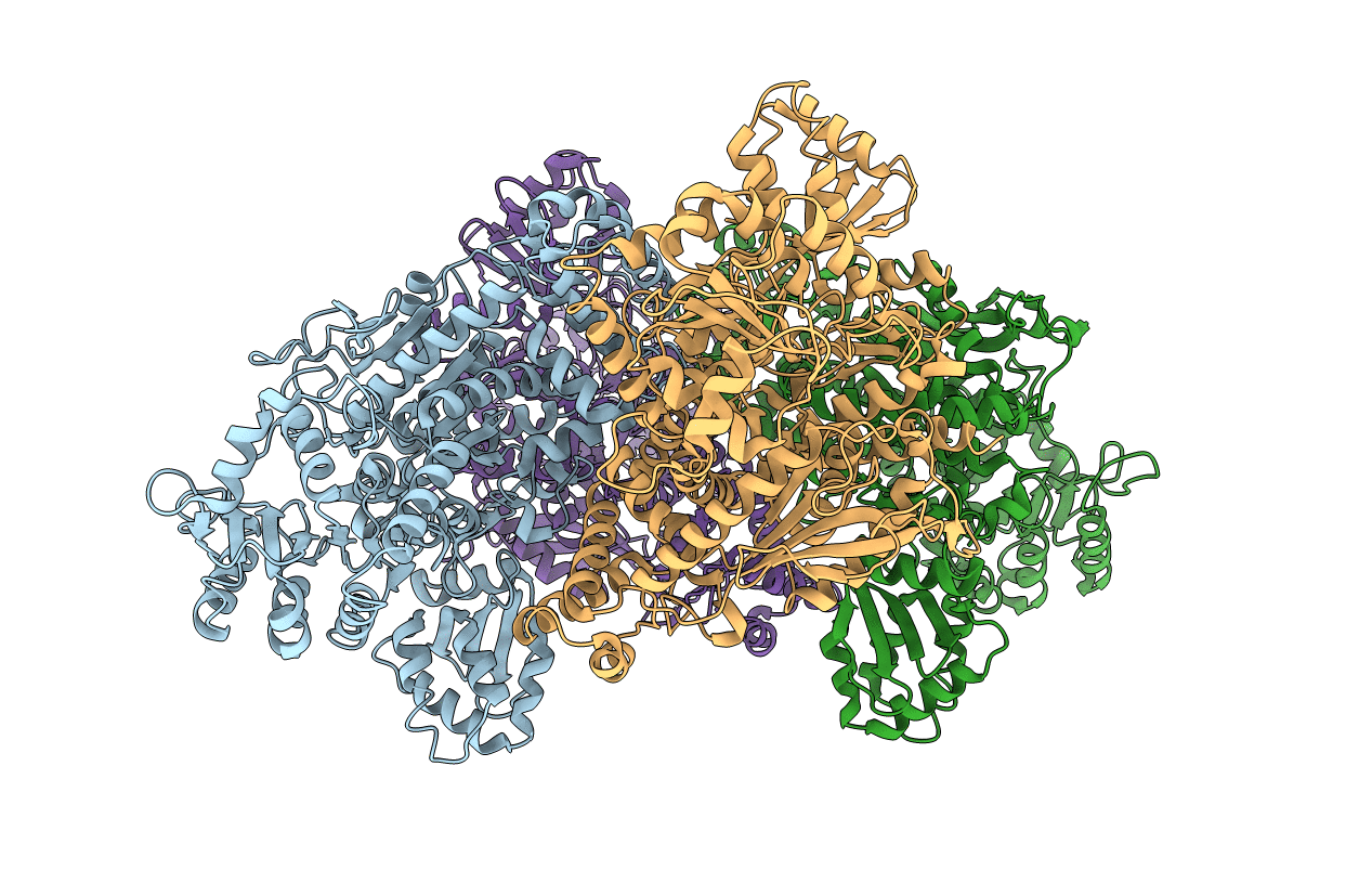 4RBN image