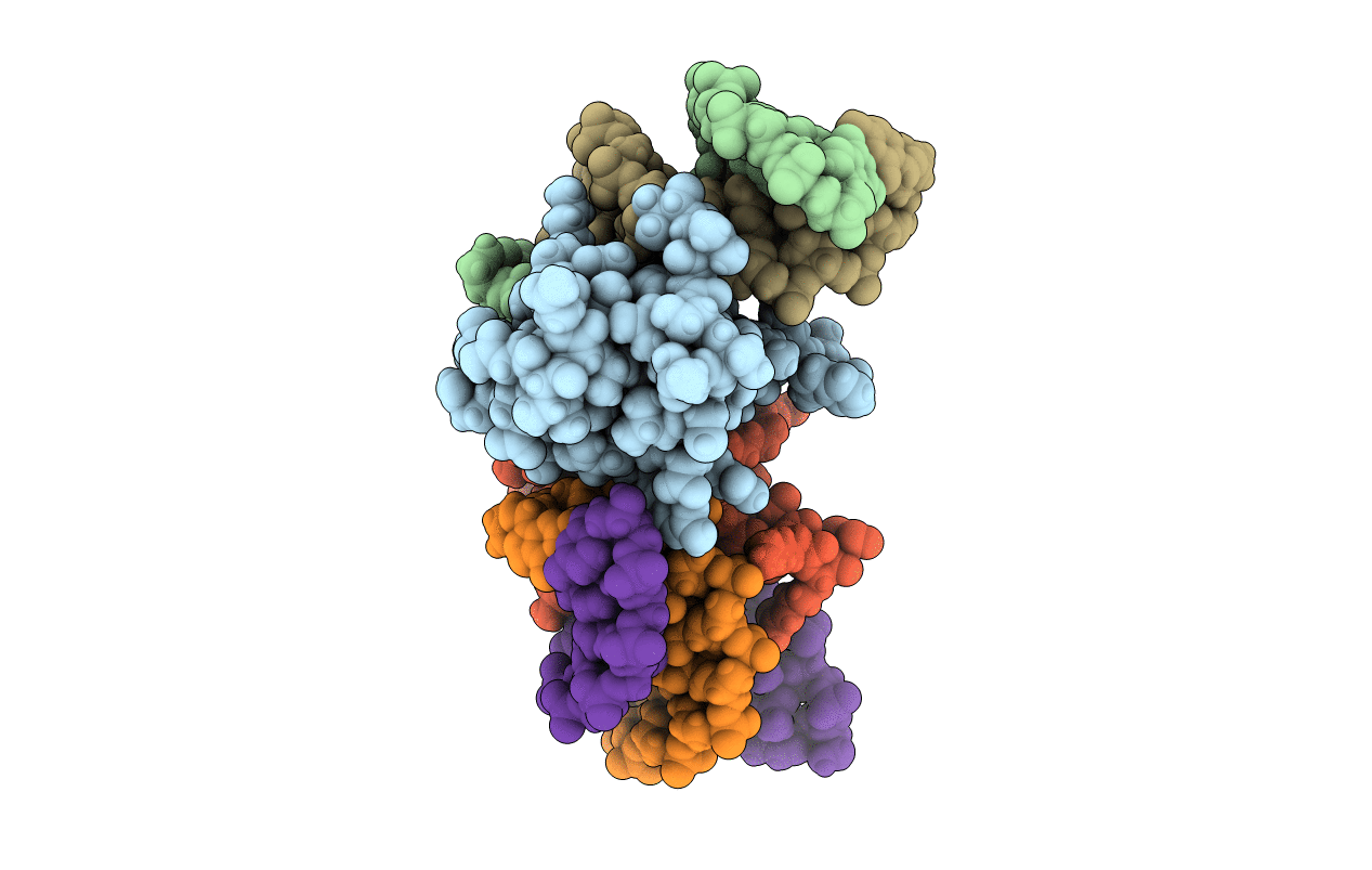 4RBO image