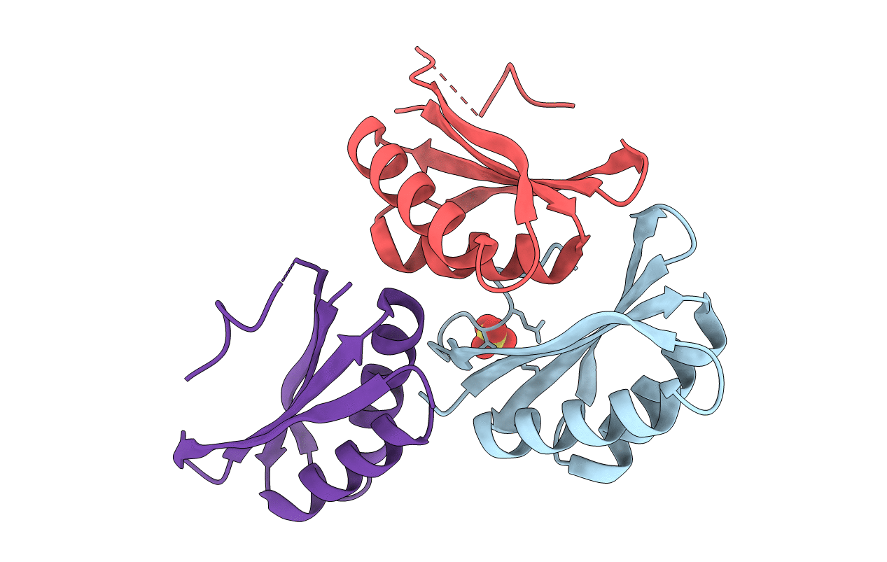 4RBT image