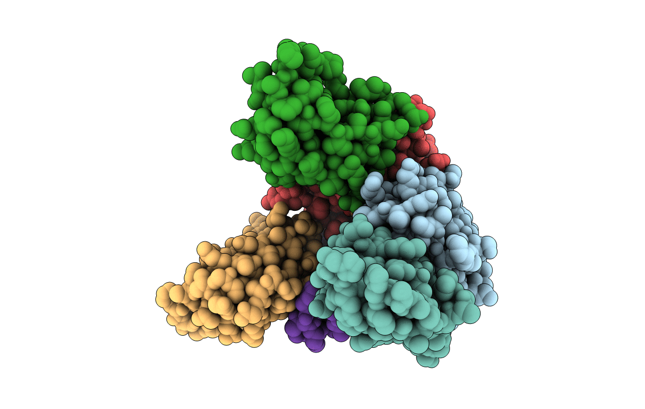 4RBV image
