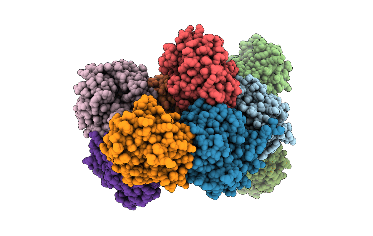 4RC1 image