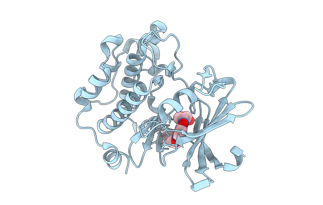 4RC3 image