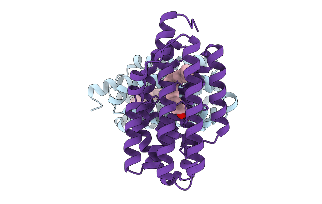 4RC7 image