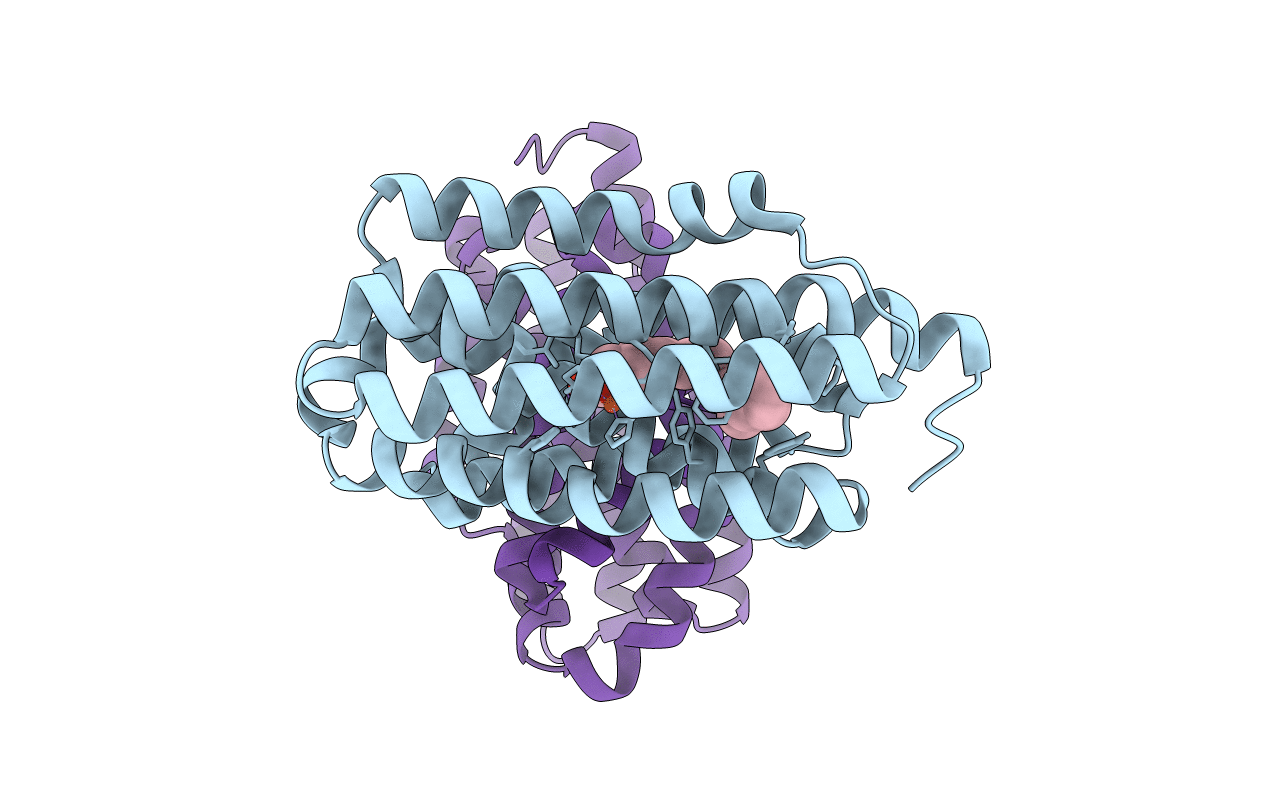 4rc8 image