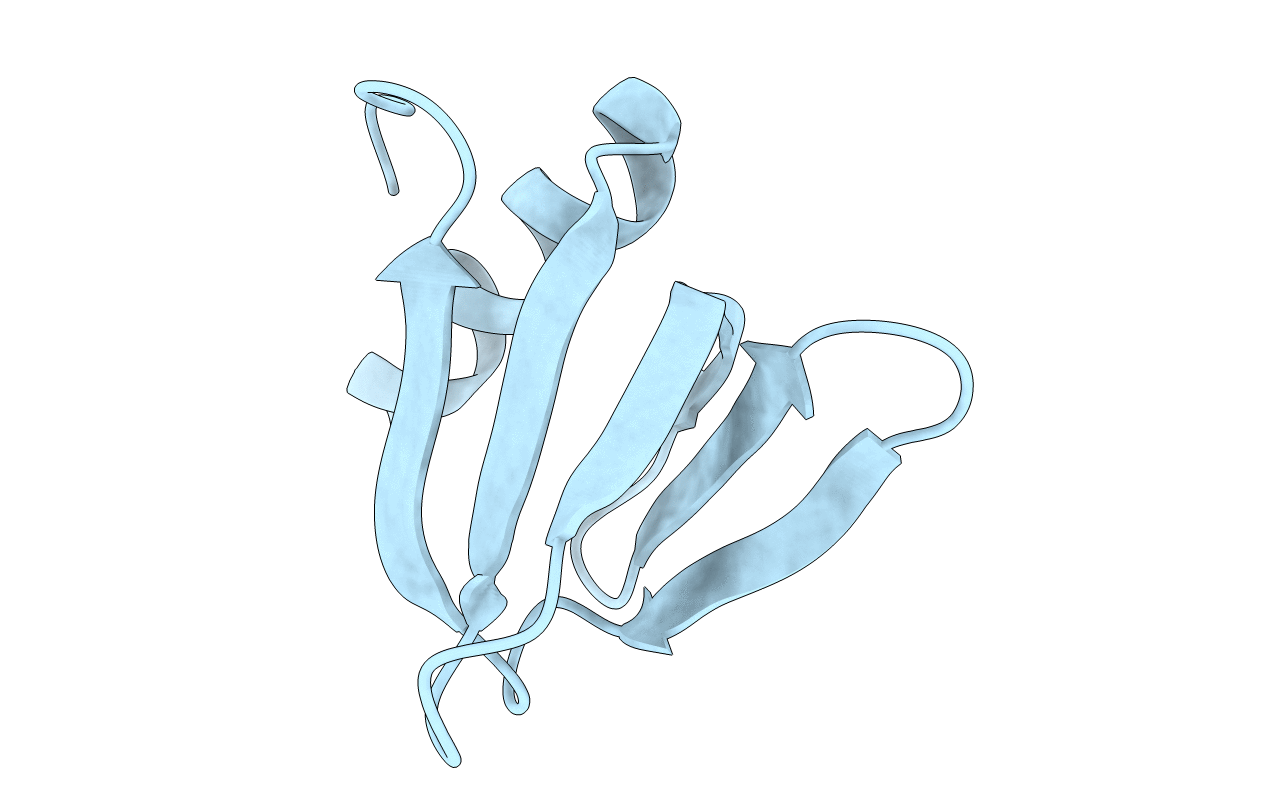 4RCC image