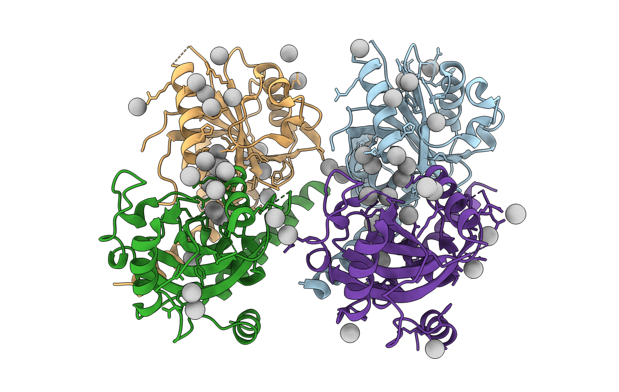 4RCI image