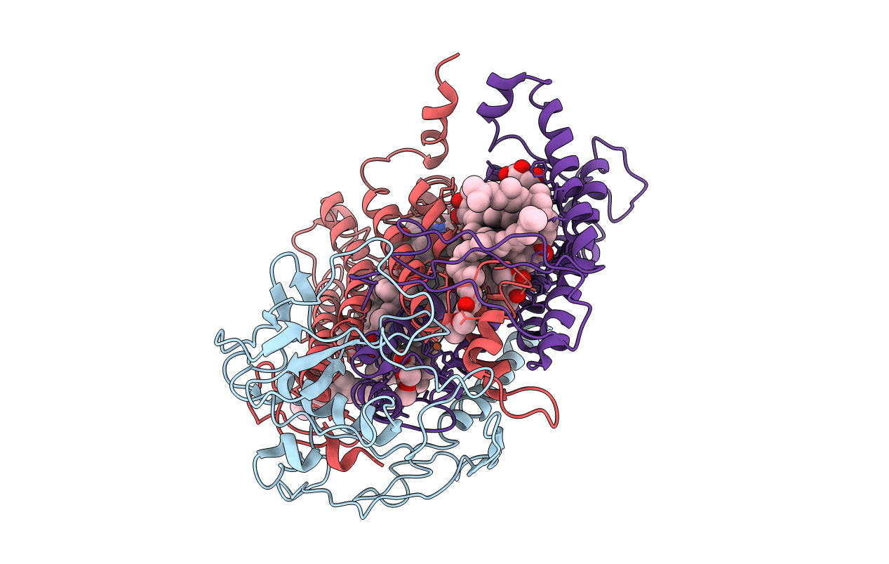 4RCR image