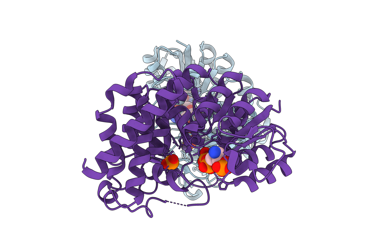 4RCV image