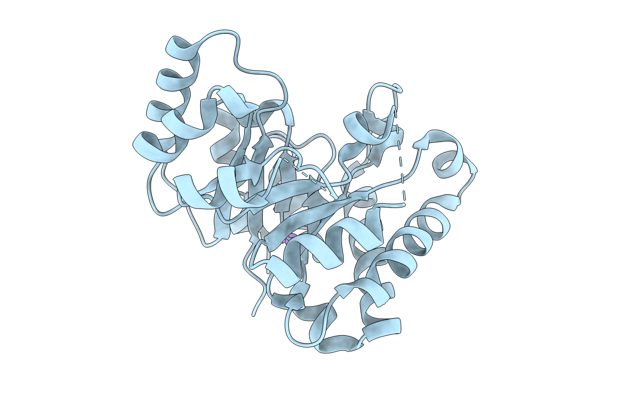 4RCX image