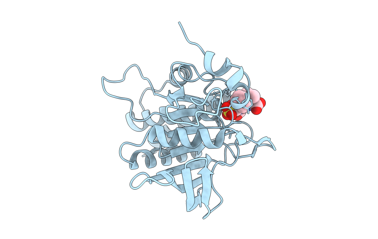 4RDD image