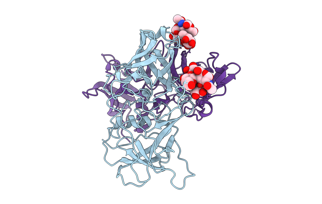 4RDL image