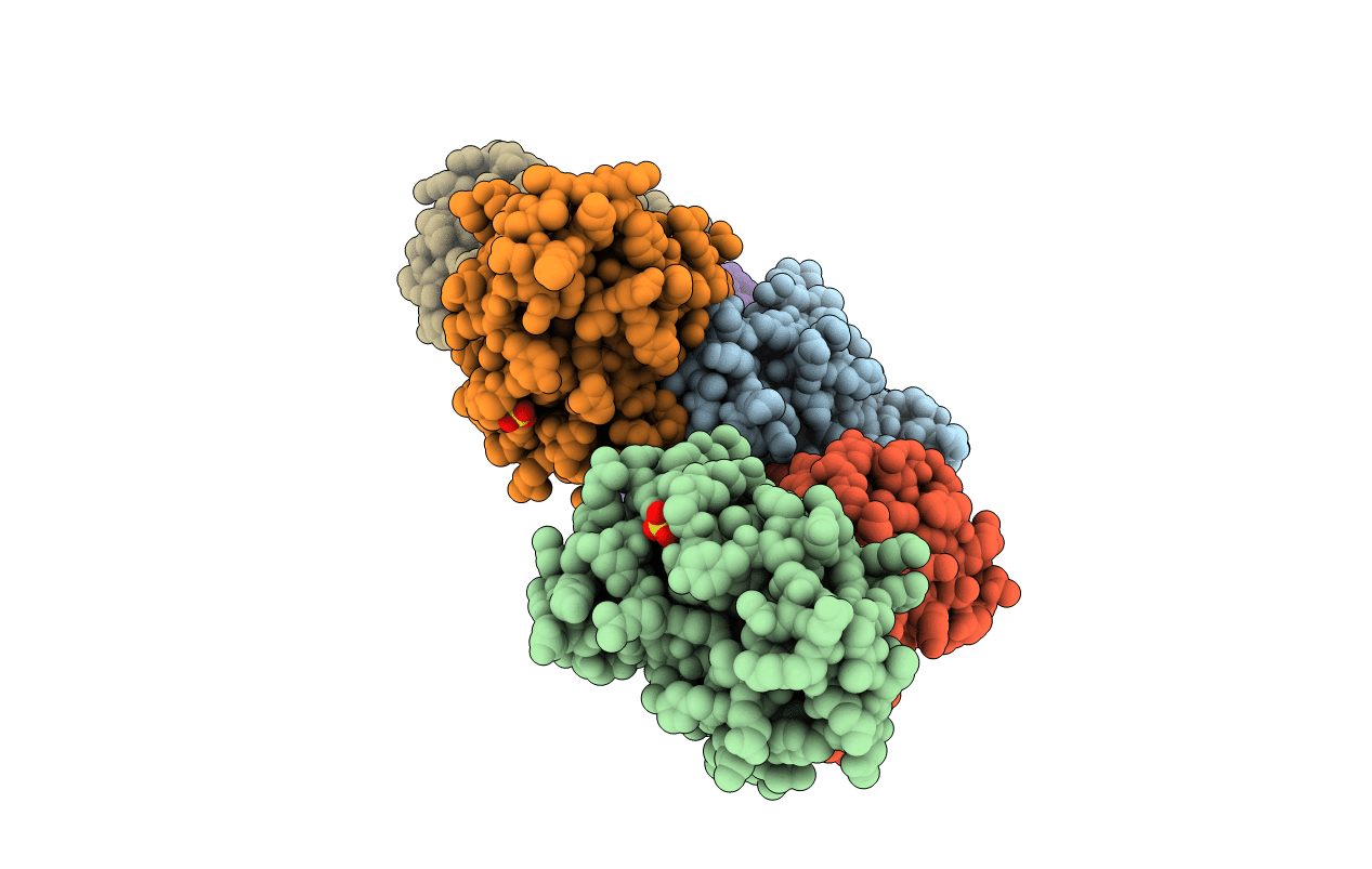 4RDO image