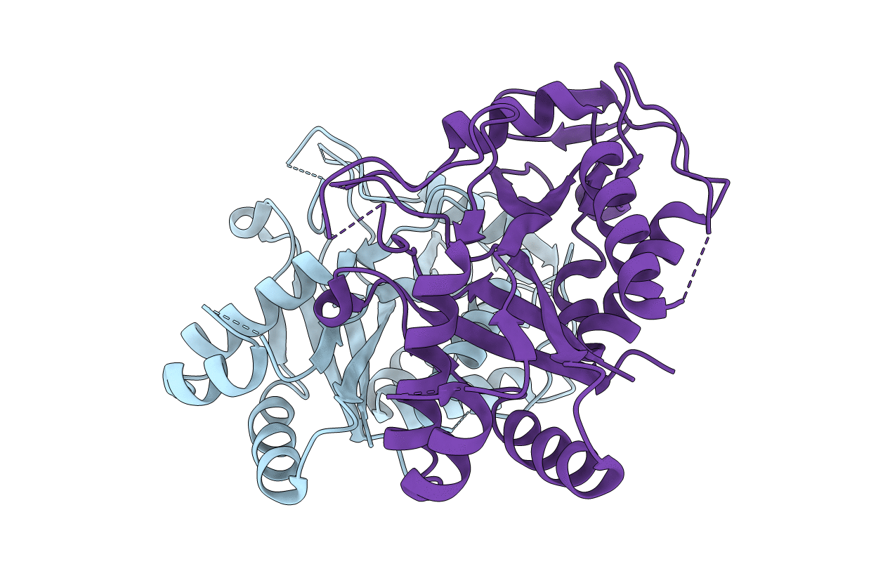 4RDP image