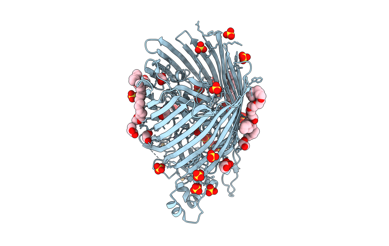 4RDR image