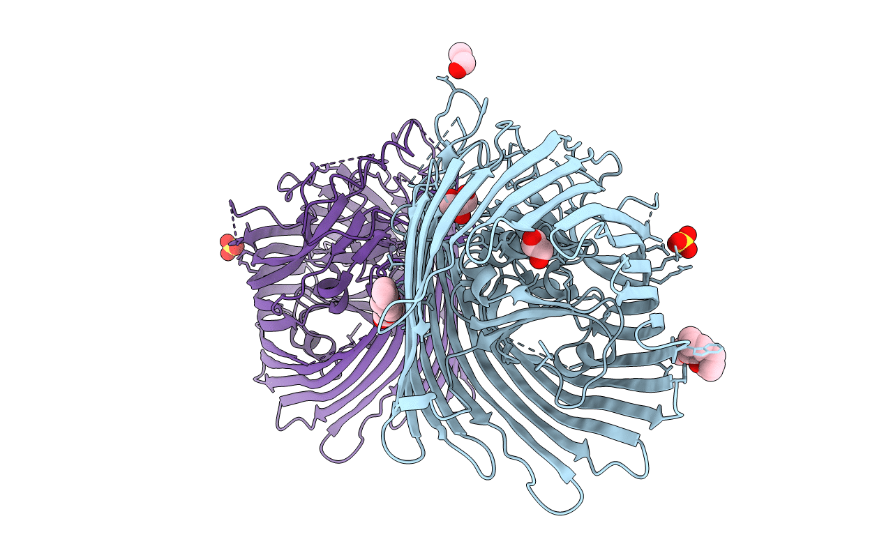 4RDT image