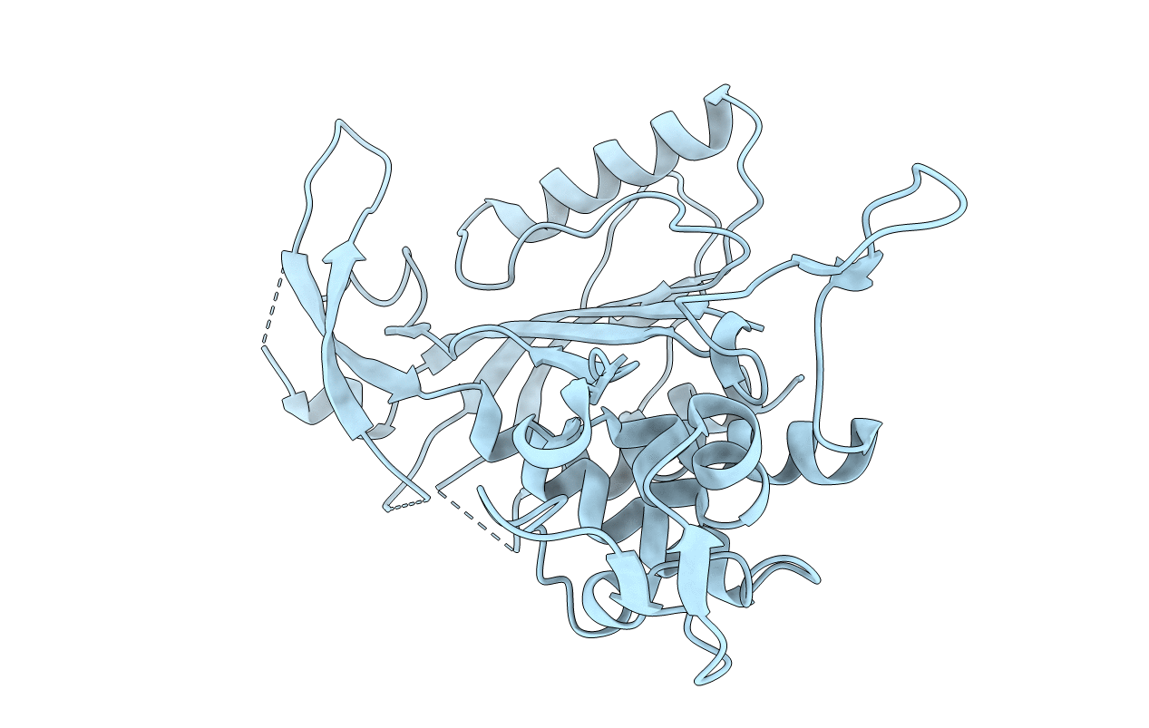 4REG image
