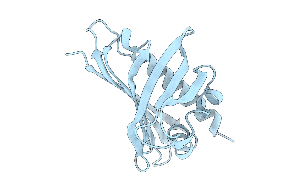 4REH image