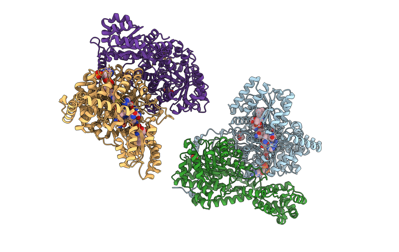 4REQ image