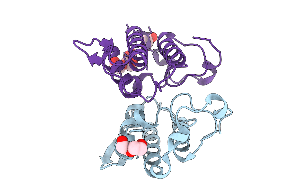 4RFP image