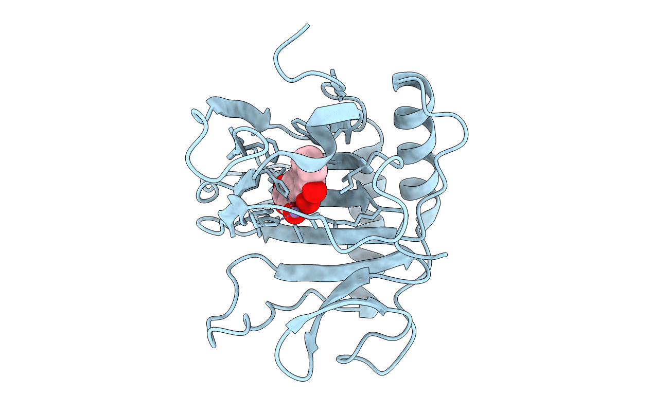 4RFR image